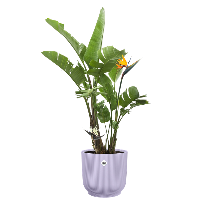 vibes fold rond 30cm soft lilac